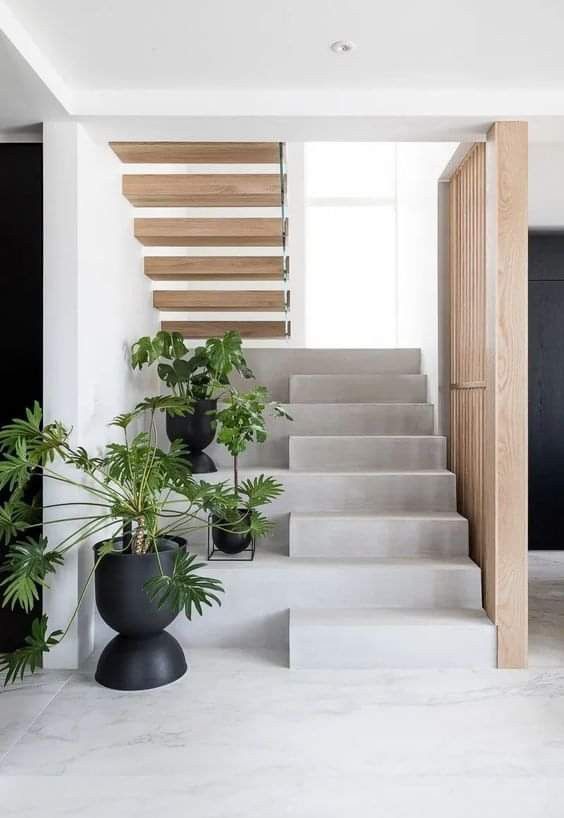 Cách trồng cây xanh cho khu vực bếp giúp thanh lọc không khí và tạo cảm hứng nấu ăn 2 cay-xanh-cho-khu-vuc-bep