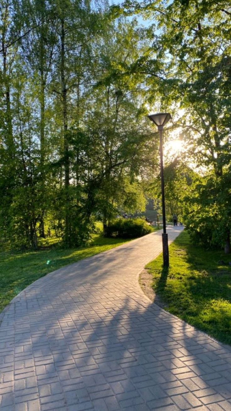 Cây đa trong công viên văn hóa – Nơi lưu giữ giá trị di sản làng quê 3 cay-da-trong-cong-vien-van-hoa